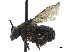  ( - CCDB-32131-H02)  @11 [ ] CreativeCommons - Attribution (2018) CBG Photography Group Smithsonian Institution
