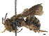  (Epanthidium tigrinum - CCDB-32132-H07)  @11 [ ] CreativeCommons - Attribution (2018) CBG Photography Group Smithsonian Institution