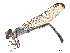  ( - CCDB-32135-D10)  @11 [ ] CreativeCommons - Attribution (2018) CBG Photography Group Smithsonian Institution