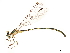  ( - CCDB-32135-E09)  @11 [ ] CreativeCommons - Attribution (2018) CBG Photography Group Smithsonian Institution