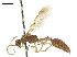  ( - CCDB-32136-G06)  @11 [ ] CreativeCommons - Attribution (2018) CBG Photography Group Smithsonian Institution