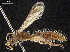  ( - CCDB-32136-G07)  @11 [ ] CreativeCommons - Attribution (2018) CBG Photography Group Smithsonian Institution