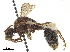  ( - CCDB-32137-A02)  @11 [ ] CreativeCommons - Attribution (2018) CBG Photography Group Smithsonian Institution