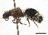 ( - CCDB-32137-D09)  @11 [ ] CreativeCommons - Attribution (2018) CBG Photography Group Smithsonian Institution