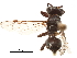  ( - CCDB-32138-E12)  @11 [ ] CreativeCommons - Attribution (2018) CBG Photography Group Smithsonian Institution