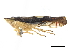  ( - CCDB-32959-C09)  @11 [ ] CreativeCommons - Attribution (2019) CBG Photography Group Smithsonian Institution