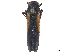  ( - CCDB-32959-F12)  @11 [ ] CreativeCommons - Attribution (2019) CBG Photography Group Smithsonian Institution