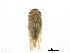  ( - CCDB-32960-F12)  @11 [ ] CreativeCommons - Attribution (2019) CBG Photography Group Smithsonian Institution