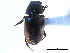  ( - CCDB-32961-F10)  @11 [ ] CreativeCommons - Attribution (2019) CBG Photography Group Smithsonian Institution