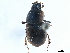  ( - CCDB-32961-G01)  @11 [ ] CreativeCommons - Attribution (2019) CBG Photography Group Smithsonian Institution