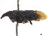  ( - CCDB-32962-F04)  @11 [ ] CreativeCommons - Attribution (2019) CBG Photography Group Smithsonian Institution