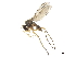  ( - CCDB-32963-H10)  @11 [ ] CreativeCommons - Attribution (2019) CBG Photography Group Smithsonian Institution