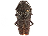  ( - CCDB-32964-D11)  @11 [ ] CreativeCommons - Attribution (2019) CBG Photography Group Smithsonian Institution