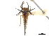  ( - CCDB-32967-B07)  @11 [ ] CreativeCommons - Attribution (2019) CBG Photography Group Smithsonian Institution