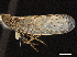  ( - CCDB-32967-D04)  @11 [ ] CreativeCommons - Attribution (2019) CBG Photography Group Smithsonian Institution
