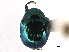  ( - CCDB-32969-A08)  @11 [ ] CreativeCommons - Attribution (2019) CBG Photography Group Smithsonian Institution