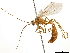  ( - CCDB-34061-A03)  @11 [ ] CreativeCommons - Attribution (2019) CBG Photography Group Smithsonian Institution