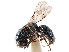  ( - CCDB-34061-B12)  @11 [ ] CreativeCommons - Attribution (2019) CBG Photography Group Smithsonian Institution