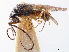 ( - CCDB-34061-C05)  @11 [ ] CreativeCommons - Attribution (2019) CBG Photography Group Smithsonian Institution