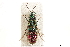  ( - CCDB-34061-E01)  @11 [ ] CreativeCommons - Attribution (2019) CBG Photography Group Smithsonian Institution
