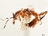  ( - CCDB-34061-E08)  @11 [ ] CreativeCommons - Attribution (2019) CBG Photography Group Smithsonian Institution