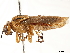  ( - CCDB-34062-B09)  @11 [ ] CreativeCommons - Attribution (2019) CBG Photography Group Smithsonian Institution