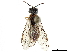  ( - CCDB-34062-G02)  @13 [ ] CreativeCommons - Attribution (2019) CBG Photography Group Smithsonian Institution