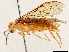  ( - CCDB-34062-G04)  @11 [ ] CreativeCommons - Attribution (2019) CBG Photography Group Smithsonian Institution