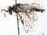  ( - CCDB-34063-B05)  @11 [ ] CreativeCommons - Attribution (2019) CBG Photography Group Smithsonian Institution
