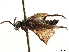  ( - CCDB-34063-B12)  @11 [ ] CreativeCommons - Attribution (2019) CBG Photography Group Smithsonian Institution