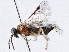  ( - CCDB-34063-C04)  @11 [ ] CreativeCommons - Attribution (2019) CBG Photography Group Smithsonian Institution