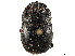  ( - CCDB-34064-D05)  @11 [ ] CreativeCommons - Attribution (2019) CBG Photography Group Smithsonian Institution