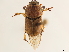  ( - CCDB-34064-E10)  @11 [ ] CreativeCommons - Attribution (2019) CBG Photography Group Smithsonian Institution