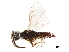  ( - CCDB-34065-H08)  @11 [ ] CreativeCommons - Attribution (2019) CBG Photography Group Smithsonian Institution
