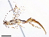  ( - CCDB-34066-A02)  @11 [ ] CreativeCommons - Attribution (2019) CBG Photography Group Smithsonian Institution