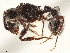  ( - CCDB-34068-E07)  @11 [ ] CreativeCommons - Attribution (2019) CBG Photography Group Smithsonian Institution