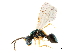  ( - CCDB-34069-C06)  @11 [ ] CreativeCommons - Attribution (2019) CBG Photography Group Smithsonian Institution