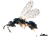  ( - CCDB-34069-D02)  @11 [ ] CreativeCommons - Attribution (2019) CBG Photography Group Smithsonian Institution