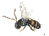  ( - CCDB-34069-D12)  @11 [ ] CreativeCommons - Attribution (2019) CBG Photography Group Smithsonian Institution