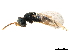 ( - CCDB-34069-E09)  @11 [ ] CreativeCommons - Attribution (2019) CBG Photography Group Smithsonian Institution