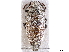  ( - CCDB-34071-D01)  @11 [ ] CreativeCommons - Attribution (2019) CBG Photography Group Smithsonian Institution
