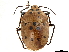  ( - CCDB-34071-D07)  @11 [ ] CreativeCommons - Attribution (2019) CBG Photography Group Smithsonian Institution