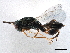  ( - CCDB-34072-E07)  @11 [ ] CreativeCommons - Attribution (2019) CBG Photography Group Smithsonian Institution