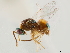  ( - CCDB-34072-F01)  @11 [ ] CreativeCommons - Attribution (2019) CBG Photography Group Smithsonian Institution