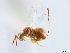  ( - CCDB-34072-F02)  @11 [ ] CreativeCommons - Attribution (2019) CBG Photography Group Smithsonian Institution
