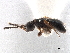  ( - CCDB-34072-F10)  @11 [ ] CreativeCommons - Attribution (2019) CBG Photography Group Smithsonian Institution