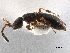  ( - CCDB-34072-F11)  @11 [ ] CreativeCommons - Attribution (2019) CBG Photography Group Smithsonian Institution