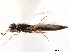  ( - CCDB-34072-H10)  @11 [ ] CreativeCommons - Attribution (2019) CBG Photography Group Smithsonian Institution