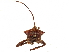  (Mictis formidabilis - CCDB-34073-F09)  @11 [ ] CreativeCommons - Attribution (2019) CBG Photography Group Smithsonian Institution
