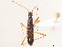  ( - CCDB-34074-G07)  @11 [ ] CreativeCommons - Attribution (2019) CBG Photography Group Smithsonian Institution